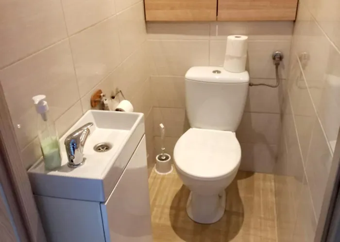 M-5 - 74m2 - Free Parking צ'סטוצ'ובה